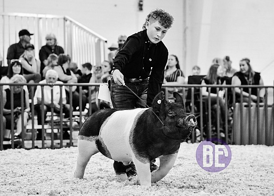2024 Colorado State Fair 