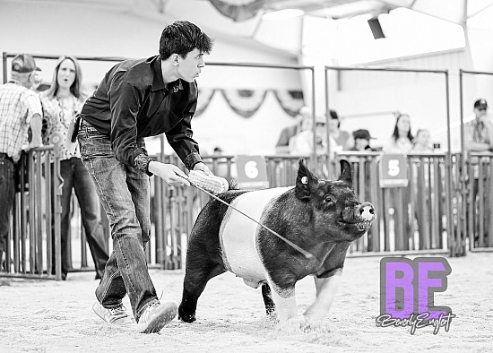 2025 Colorado State Fair 