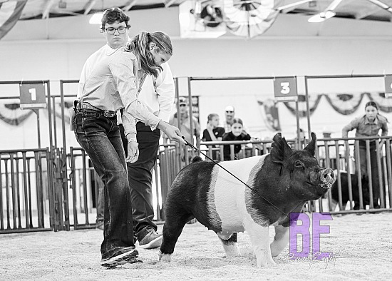 2026 Colorado State Fair 